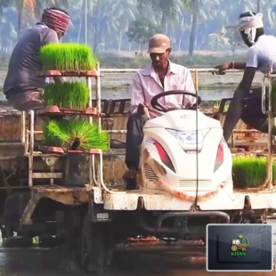 Rice Transplanter